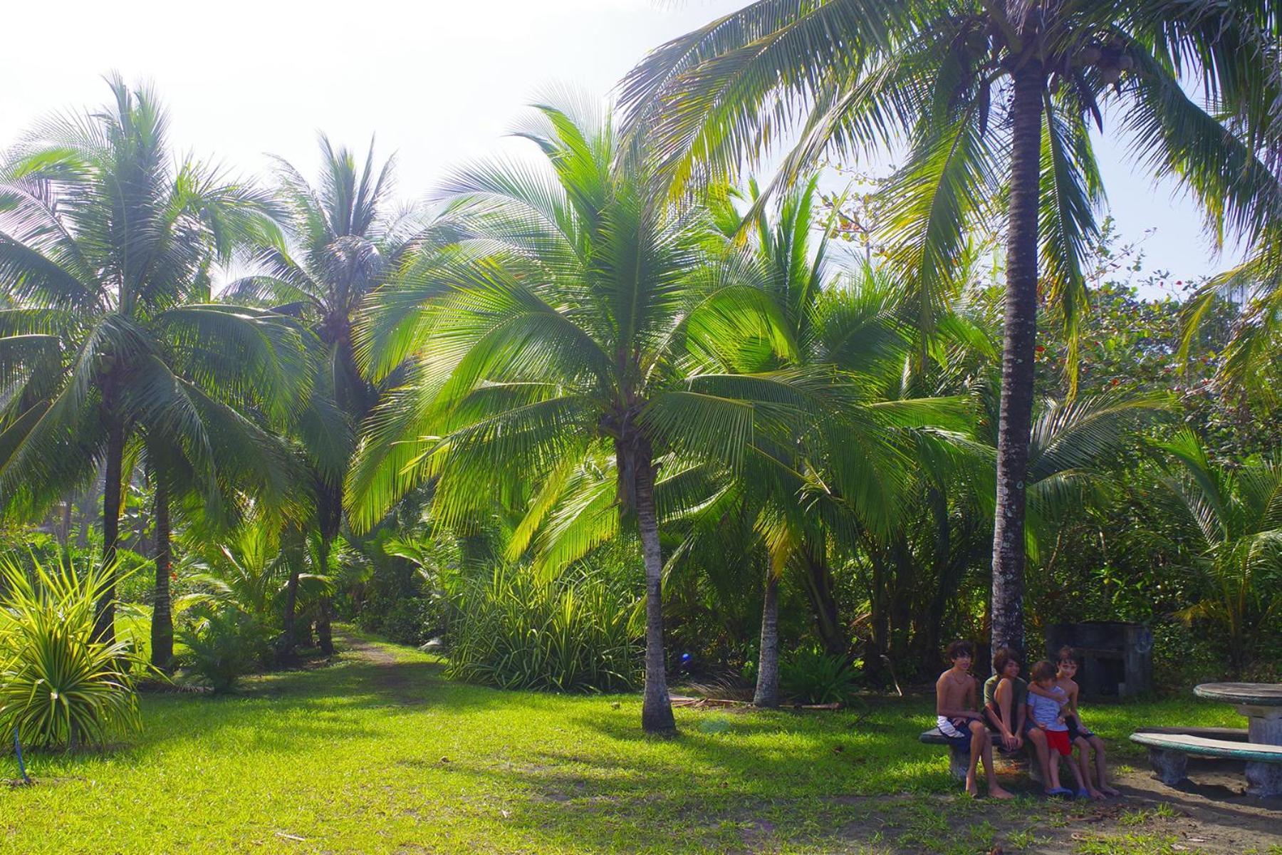 Casa Caribbean Coconut Hotel Cahuita Kültér fotó